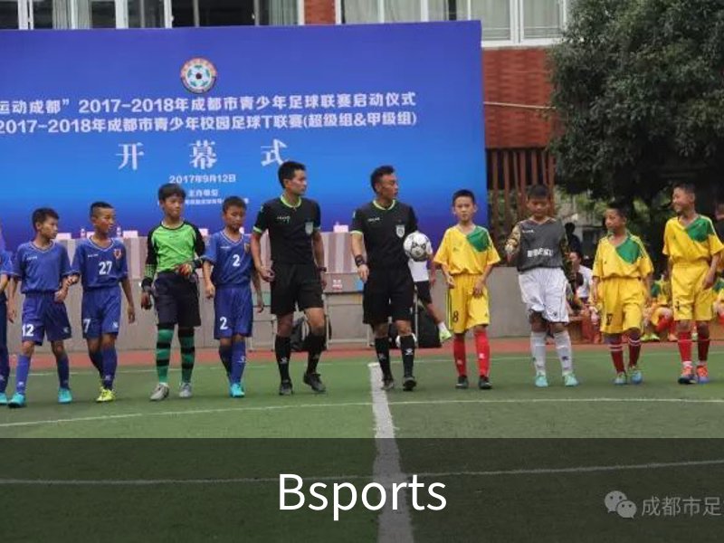 Bsports介绍